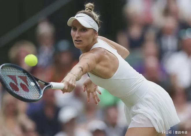 的完整链条 的完整链条